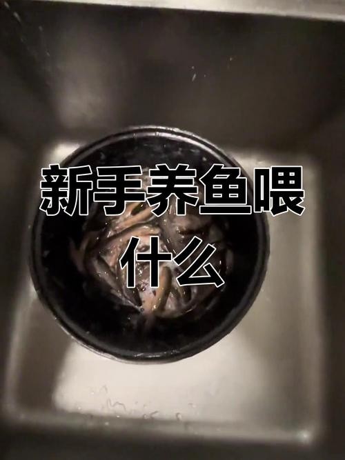 龍魚掉眼最嚴重圖片大全