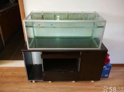 花鳥(niǎo)魚(yú)蟲(chóng)市場(chǎng)的信息尚未給出，花鳥(niǎo)魚(yú)蟲(chóng)市場(chǎng)的需求：花鳥(niǎo)市場(chǎng)花鳥(niǎo)市場(chǎng)