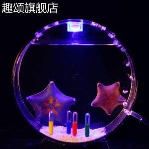 海星活體海水魚缸（養(yǎng)護海星活體海水魚缸需要注意什么？）