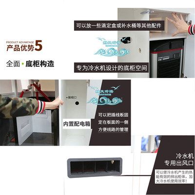 珊瑚養殖的入門指南珊瑚是海缸中不可或缺的一部分：如何打造一個穩定的海水生態系統 珊瑚養殖的入門指南珊瑚是海缸中不可或缺的一部分：如何打造一個穩定的海水生態系統 魚缸百科 第3張