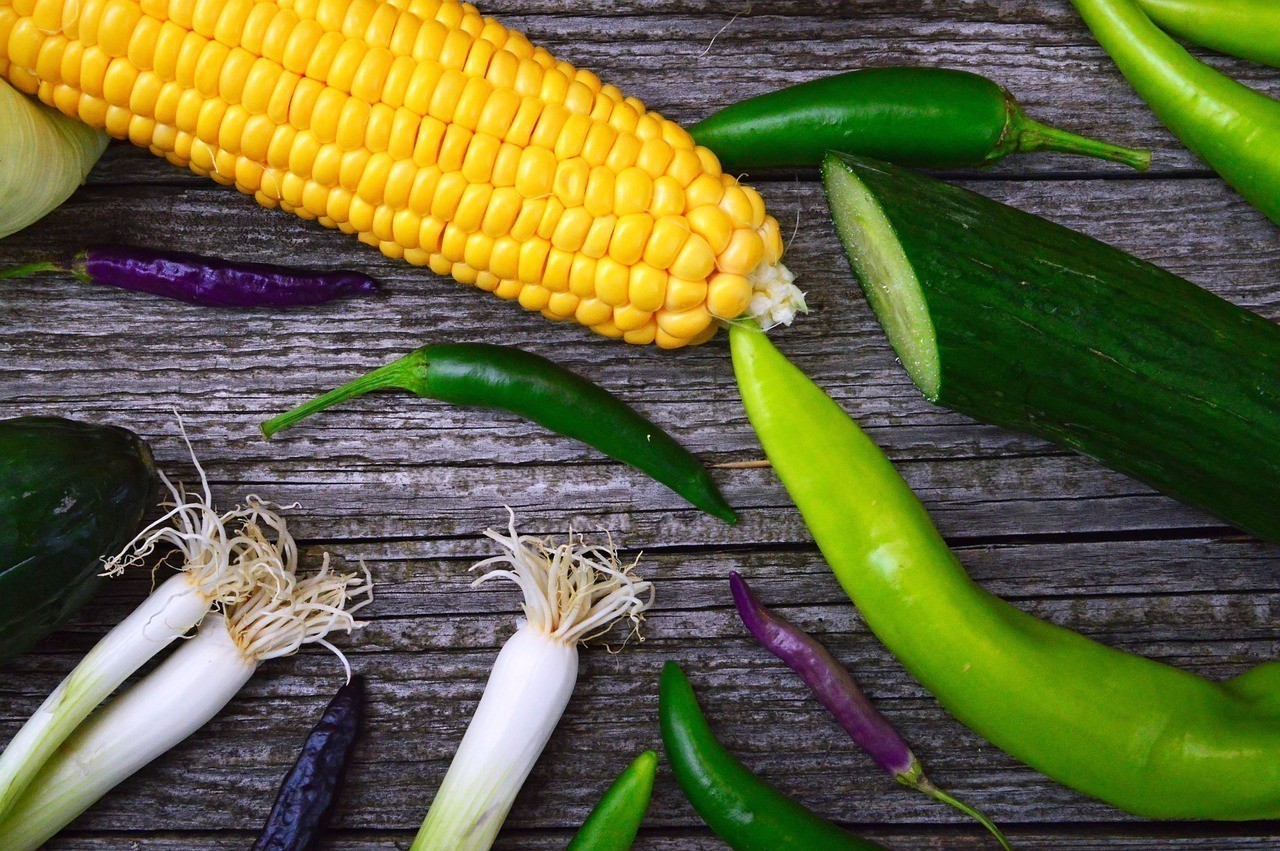 羅莊區永衛種植專業合作社（羅莊區永衛種植專業合作社地址）