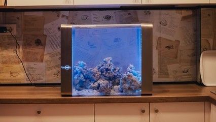 藍寶魚缸怎么樣：藍寶魚缸價格較為親民適合初學者購買藍寶魚缸價格較為親民