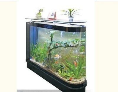 訂做魚缸需要考慮哪些因素：訂做魚缸價格