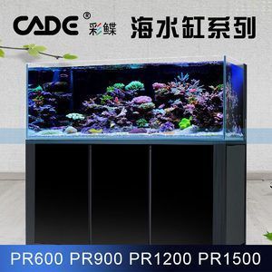 品牌魚缸價格及圖片：品牌魚缸價格與圖片詳解，簡約而現(xiàn)代玻璃魚缸價格與圖片 品牌魚缸價格及圖片：品牌魚缸價格與圖片詳解，簡約而現(xiàn)代玻璃魚缸價格與圖片 魚缸百科 第5張