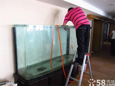 魚缸修復上門電話（上門修魚缸電話號碼） 魚缸修復上門電話（上門修魚缸電話號碼） 魚缸百科 第5張