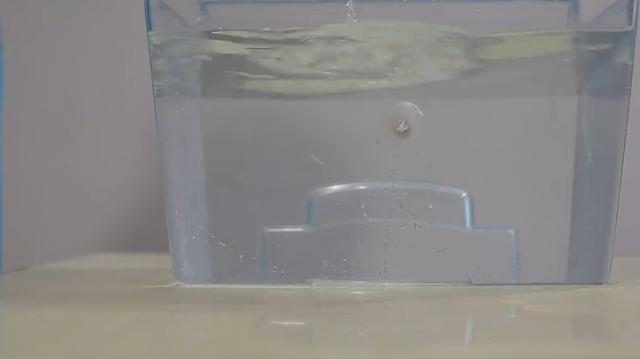 魚缸修復上門電話（上門修魚缸電話號碼） 魚缸修復上門電話（上門修魚缸電話號碼） 魚缸百科 第2張
