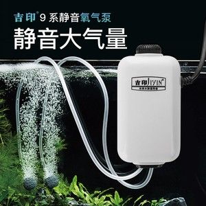 魚缸增氧泵為什么不冒泡，如何正確安裝魚缸增氧泵增氧泵增氧泵維護保養技巧 魚缸增氧泵為什么不冒泡，如何正確安裝魚缸增氧泵增氧泵增氧泵維護保養技巧 魚缸百科 第6張