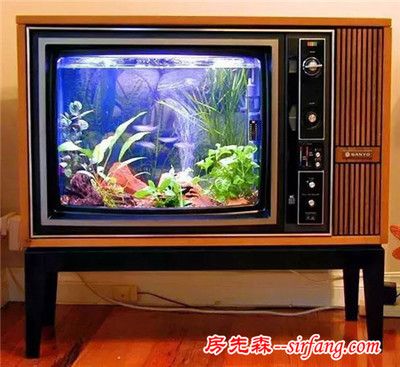 魚缸放在電視機旁面好不好：魚缸放在電視機旁邊好不好 魚缸放在電視機旁面好不好：魚缸放在電視機旁邊好不好 魚缸百科 第1張