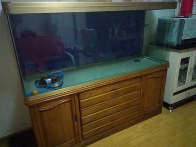 風水魚缸尺寸算不算柜子面積大小（家居風水魚缸尺寸的選擇）