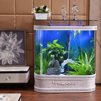 歐式落地魚缸好嗎：歐式落地魚缸怎么樣