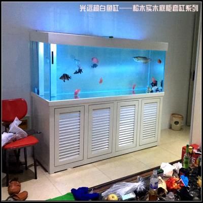 養(yǎng)龍魚(yú)的缸要多大的水合適：養(yǎng)龍魚(yú)的缸的水位和尺寸不僅可以保證龍魚(yú)的健康生長(zhǎng)