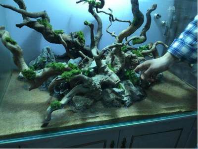 西安市新城區日升水族經銷部（西安市新城區日升水族經銷部地址）