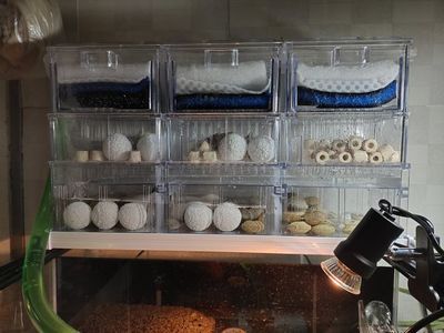 魚缸加熱棒有沒有危險：如何判斷魚缸加熱棒是否安全