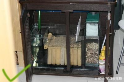 半圓柱魚缸過濾安裝視頻，半圓柱魚缸過濾器品牌推薦魚缸過濾器維護周期指南