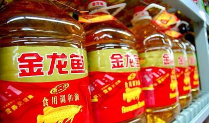 錦鯉魚缸背景圖片大全超清圖（錦鯉魚缸背景圖片大全）