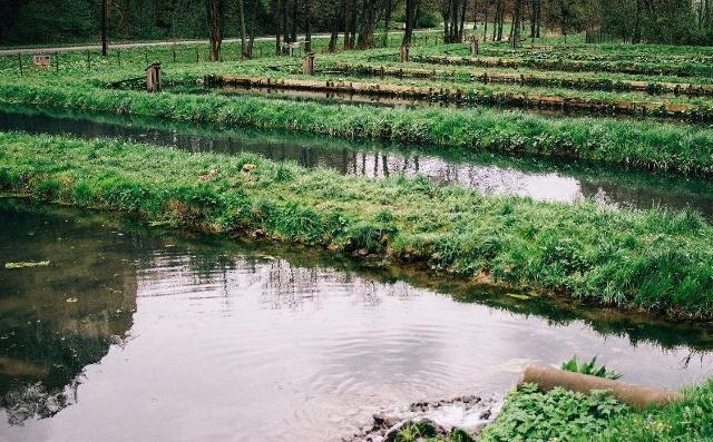 福州市臺江潘當水族店（福州市臺江潘當水族店電話）