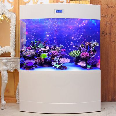 翌美魚缸怎么安裝視頻：“翌美魚缸怎么安裝”查詢魚缸安裝常見問題及解決 翌美魚缸怎么安裝視頻：“翌美魚缸怎么安裝”查詢魚缸安裝常見問題及解決 魚缸百科 第2張