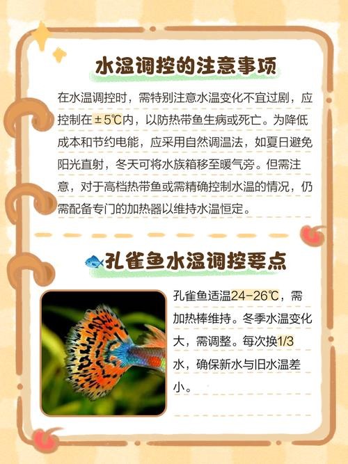 龍魚飼養中如何選擇合適的加熱棒？