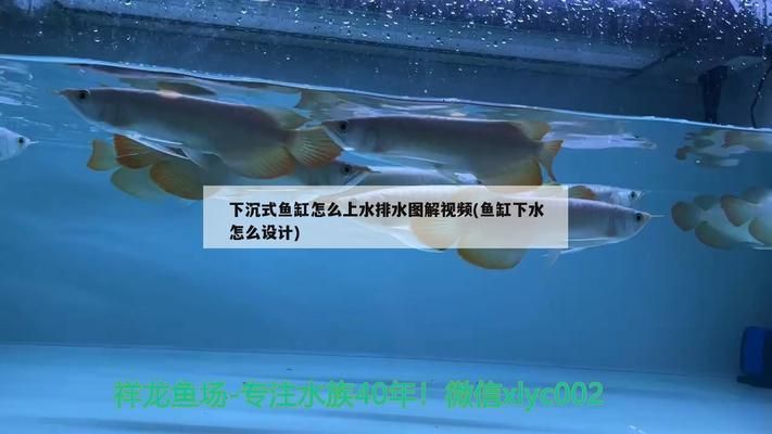 魚缸上水設計：魚缸上水口設計技巧