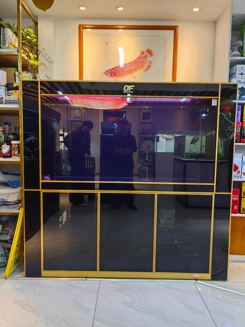 高端龍魚缸哪個品牌最好？ 高端龍魚缸哪個品牌最好？ 龍魚百科 第9張