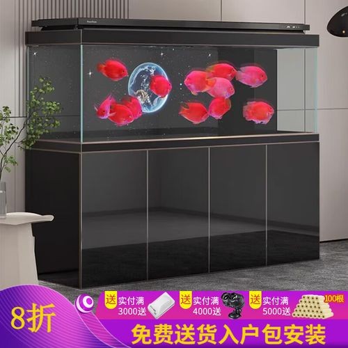 高端龍魚缸哪個品牌最好？ 高端龍魚缸哪個品牌最好？ 龍魚百科 第3張