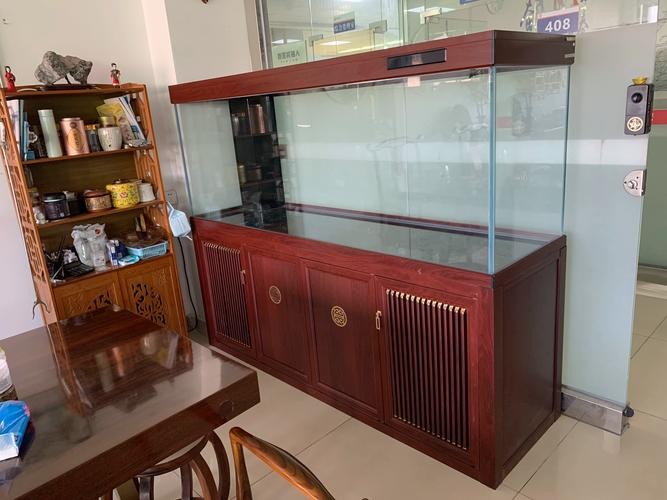 高端龍魚缸哪個品牌最好？ 高端龍魚缸哪個品牌最好？ 龍魚百科 第11張