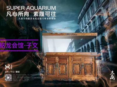 久鼎魚缸：久鼎魚缸與其他品牌對比久鼎魚缸與其他品牌對比