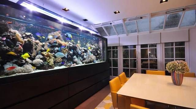 戶縣魚缸專賣店戶縣魚缸專賣店戶縣哪里有賣魚缸的市場：戶縣哪里有賣魚缸的地方