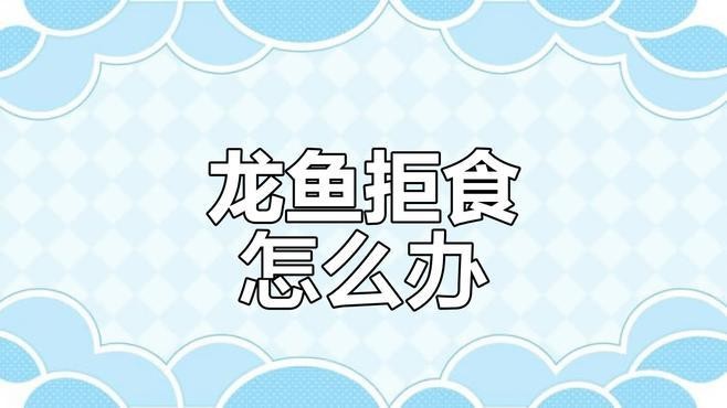 龍魚混養打架不吃東西怎么回事