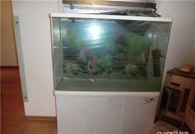 工業魚缸設計原理工業魚缸設計原理工業魚缸設計原理：工業魚缸在商業空間的應用