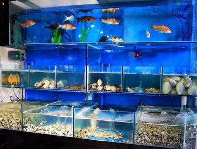 海鮮魚缸設計美學海鮮魚缸設計美學海鮮魚缸設計要點：制作海鮮魚缸的設計美學