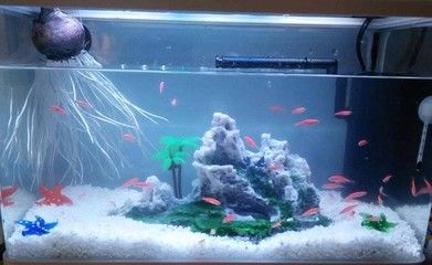 魚缸過濾器的換水頻率取決于多種因素：過濾器魚缸的換水頻率取決于多種因素