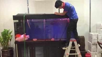 魚缸水質(zhì)檢測頻率及方法：魚缸水質(zhì)檢測的頻率及方法