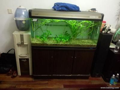 嘉寶魚缸價格表2023：嘉寶魚缸2023年價格表