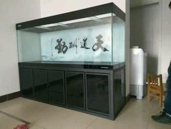 沈撫新區魚小姐生態水族工作室（湖南財政經濟學院acca通過率）
