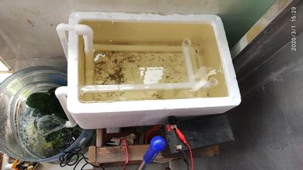 魚缸過濾器的優缺點：如何選擇合適的魚缸過濾器 魚缸過濾器的優缺點：如何選擇合適的魚缸過濾器 魚缸百科 第1張
