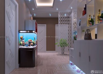 入戶魚缸玄關效果圖，入戶魚缸玄關的設計效果圖和注意事項和注意事項 入戶魚缸玄關效果圖，入戶魚缸玄關的設計效果圖和注意事項和注意事項 龍魚百科 第4張