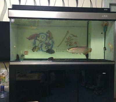 彩蝶魚缸廠家（彩蝶魚缸廠家介紹）