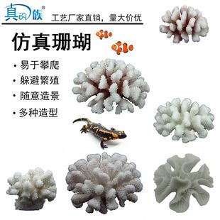 魚缸珊瑚造景：如何通過魚缸珊瑚造景提升觀賞體驗和水質(zhì)環(huán)境