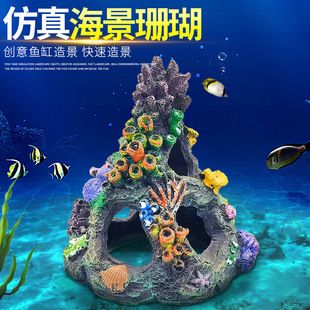 魚缸珊瑚造景：如何通過魚缸珊瑚造景提升觀賞體驗和水質(zhì)環(huán)境