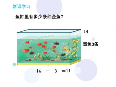 黑魚養殖需要注意魚缸的高度和水質管理技巧水質管理技巧：魚缸養黑魚的技巧