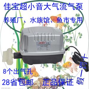 龍魚缸氧氣泵用不用一直開著：魚缸氧氣泵需要24小時開著嗎 龍魚缸氧氣泵用不用一直開著：魚缸氧氣泵需要24小時開著嗎 龍魚百科 第1張