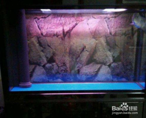 森森魚缸怎么樣消除水聲：魚缸增氧泵選型指南