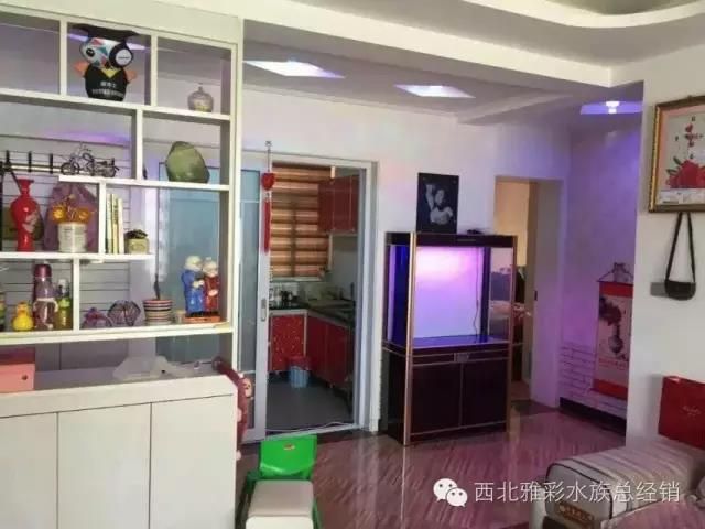 上海雅彩魚缸安裝視頻：上海雅彩魚缸安裝視頻展示