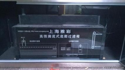 上海雅彩魚缸安裝視頻：上海雅彩魚缸安裝視頻展示