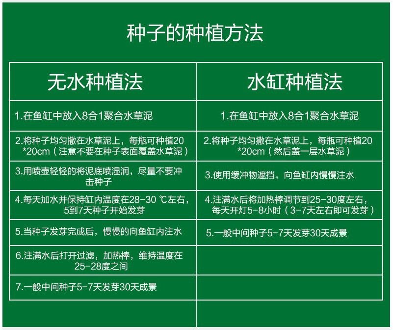 魚缸彩葉草的養殖方法和注意事項視頻教程：彩葉草的養殖方法和注意事項