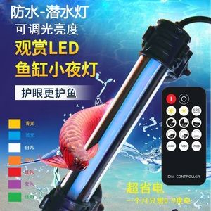 龍魚夜燈安放位置圖片（關于“龍魚夜燈安放位置圖片”的問題） 龍魚夜燈安放位置圖片（關于“龍魚夜燈安放位置圖片”的問題） 龍魚百科 第2張