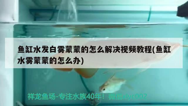 青島嶗山區(qū)錦澤璇水族店