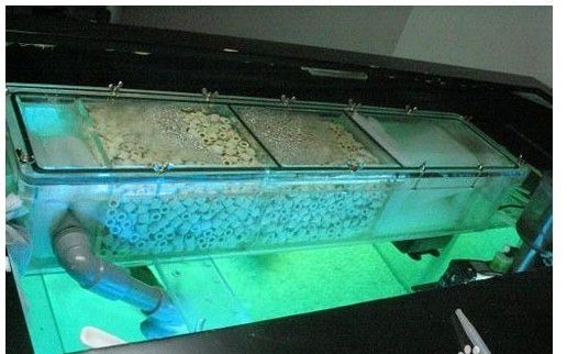 魚缸過濾的魚缸生態系統的維護與水質管理的科學方法：過濾的魚缸材料放置建議 魚缸過濾的魚缸生態系統的維護與水質管理的科學方法：過濾的魚缸材料放置建議 魚缸百科 第3張