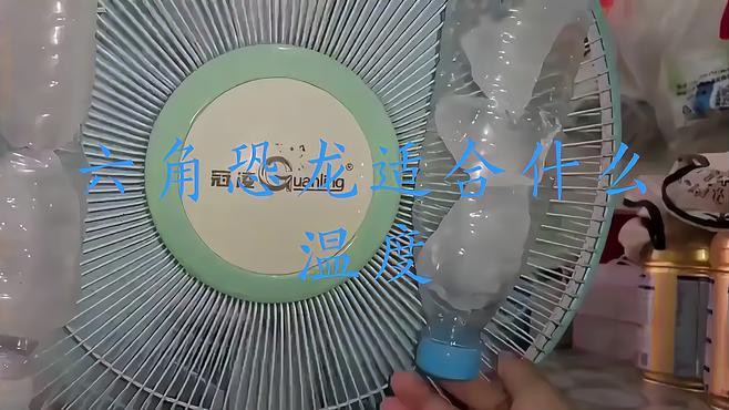 六角恐龍魚(yú)溫度